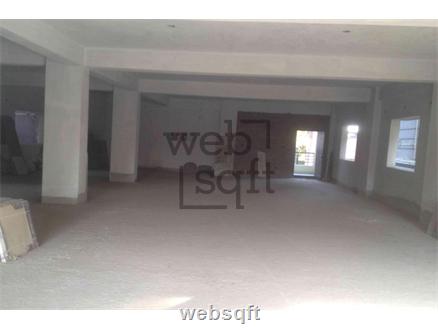 Shop-Mulgi for Sale